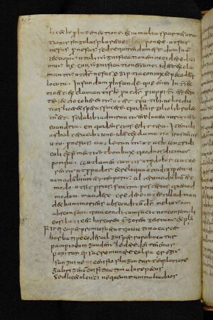 In Vergilii Georgica (Exzerpt)