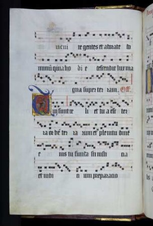 Historisierte Cadelle: q(ui sunt): Hirsch