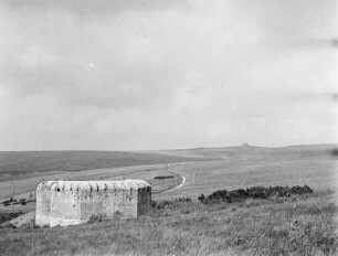 Bunker Kamm