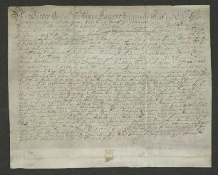 1768 Jan. 22. Gräf. lipp. Lehnsbrief für Kleinsorge auf den halben Spiegelberg lautend.