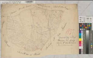 Mairie de Straß, Section C dite Hocherbach, Gemeinde Gey und Straß, 1: 2500 (alte Urkarte)