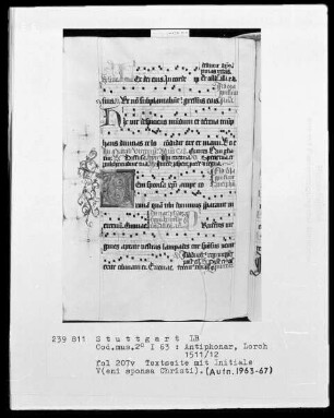 Antiphonarium (Benediktinerhandschrift) — Initiale V (eni sposa Christi), Folio 207 verso