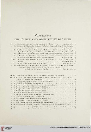 Verzeichnis der Tafeln und Abbildungen im Texte