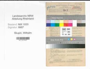 Entnazifizierung Wilhelm Skupin , geb. 27.03.1887 (Polizeimeister)