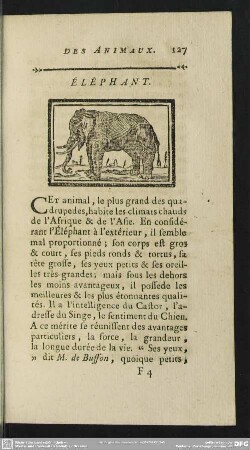 Éléphant