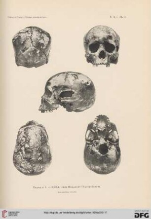 Planche I-VIII