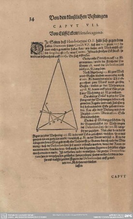 CAPUT VII. Von Eilff Ecken/Hendecagono.