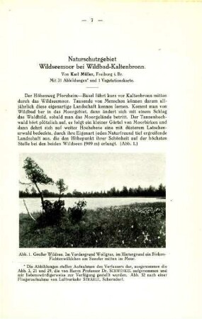Naturschutzgebiet Wildseemoor bei Wildbach-Kaltenbronn