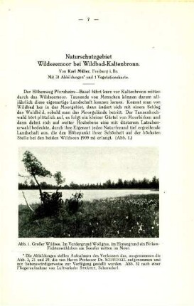 Naturschutzgebiet Wildseemoor bei Wildbach-Kaltenbronn