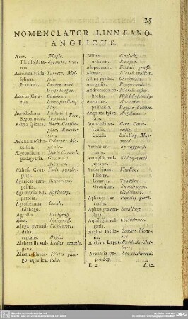 Nomenclator Linnaeano-Anglicus