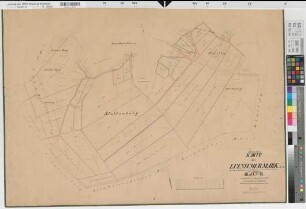 Haltern (Haltern), Teilung der Lünzumer Mark, Bl.3 Brouillonkarte