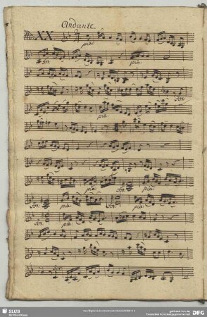 20. Anonymus, Andante, F-Dur