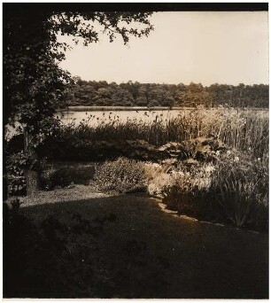 Garten Noack, Potsdam-Nedlitz: Pflanzung