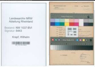 Entnazifizierung Wilhelm Krapf , geb. 05.11.1899 (Mechaniker)