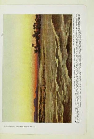 Plateauwüste (Hammada) in der Algerischen Sahara