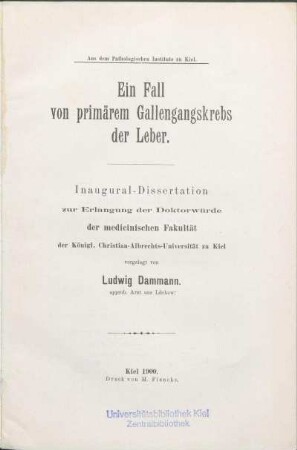 Ein Fall von primärem Gallengangskrebs der Leber