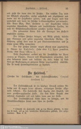 Die Haselnuß