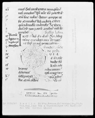 Homiliarium — Initiale Q(uia), Folio 53verso