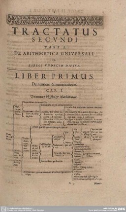 Liber Primus. De Arithmetica Universali.