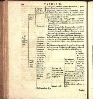 Tabula LI.