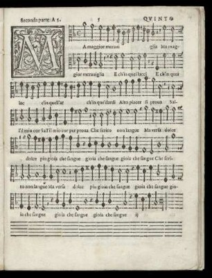 Ma maggior meraviglia, 2.parte