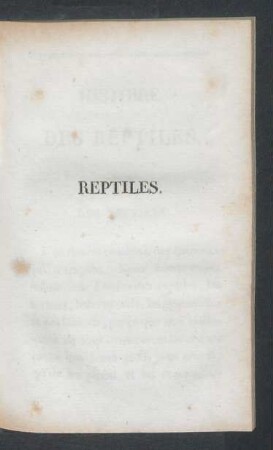 Des reptiles.