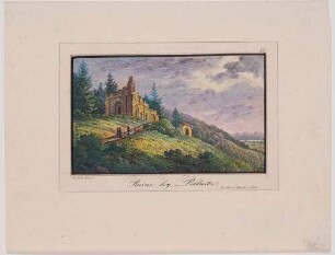 Die künstliche Ruine über dem Friedrichsgrund und die Weinberge von Pillnitz bei Dresden, im Hintergrund die Sächsische Schweiz