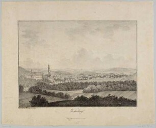 Wechselburg mit dem Benediktinerkloster (auch Kloster Zschillen ) und der Basilika, westlich von Mittweida, Blick von Nordosten