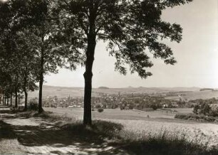 Seifhennersdorf (obersorbisch Wodowe Hendrichecy), Blick auf die Stadt von Osten