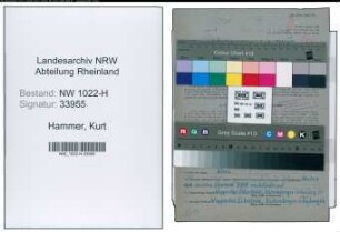 Entnazifizierung Kurt Hammer , geb. 17.05.1920 (Ingenieur)