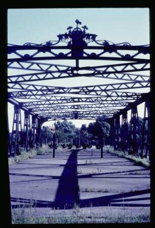 Grenze b. Alt-Schönow 14.8.66.
