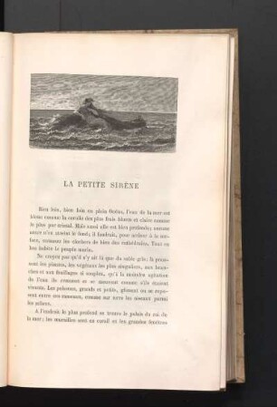 La Petite Sirène