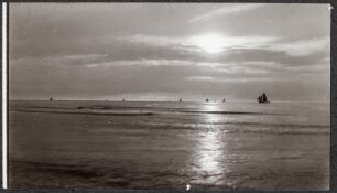 Niederlande, Scheveningen. Blick auf die Nordsee mit Segelschiffen gegen die Abendsonne