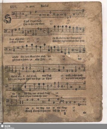 XXV. Schall Orgel schall