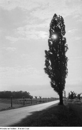 Landschaftsansicht mit Landstraße