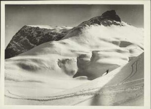 Österreich. Tirol. Kitzbüheler Alpen. Winter am Kitzbüheler Horn. Spuren im Schnee. Ein Skifahrer fährt einen Hang hinab