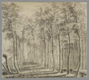 Landschaft bei Maarsseveen in Holland