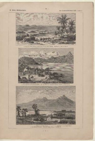 Aus der Wüste Sahara (rechts Oase, in der Mitte Dünen)