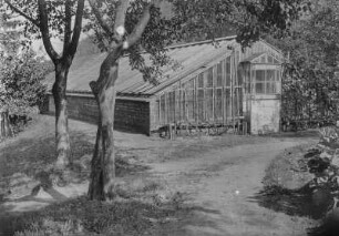 Blick auf ein großes Gewächshaus