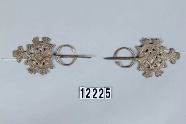 two fibulae (pair)