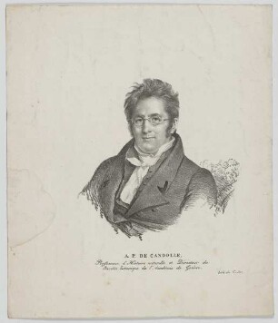 Bildnis des A. P. de Candolle