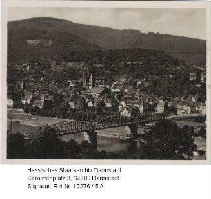 Eberbach am Neckar, Panorama mit Neckar