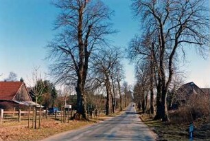 Allee: Kastanienallee, Nachpflanzungen: beiderseits Häuser: 13. März 2003