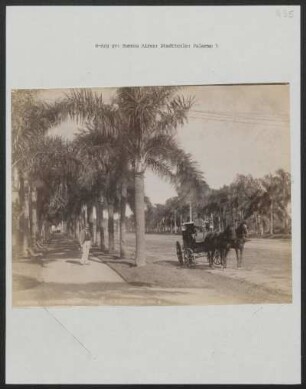Buenos Aires: Stadtteile: Palermo