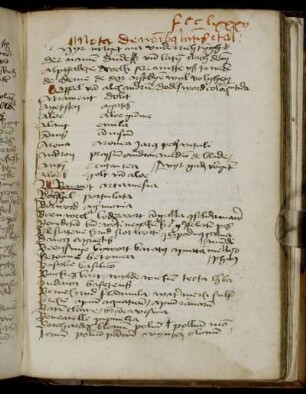 Glossar von Pflanzennamen (dt.-lat.)/Register des Promptuarium medicine (?; Auszug)