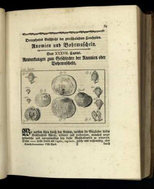 Dreyzehntes Geschlecht der zwoschalichten Conchylien. Anomien und Bohrmuscheln.