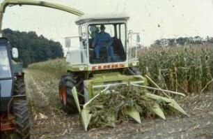 Fotografie: Ernteverfahren, Silomais, Maishäcksler selbstfahrend, Parallelverfahren