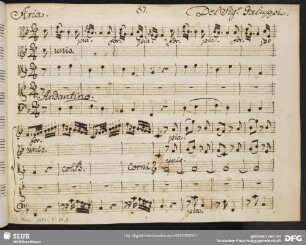 Il trionfo della continenza. Excerpts - Mus.2973-F-34,5 : S, strings, bc