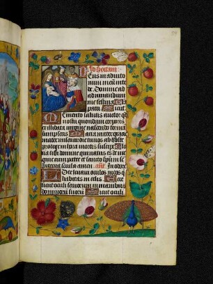 Vollbordürenseite mit Streumusterbordüre und Textanfangsminiatur: Anbetung der Könige