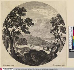 [Waldlandschaft mit Blick auf einen Hang mit Wanderern]